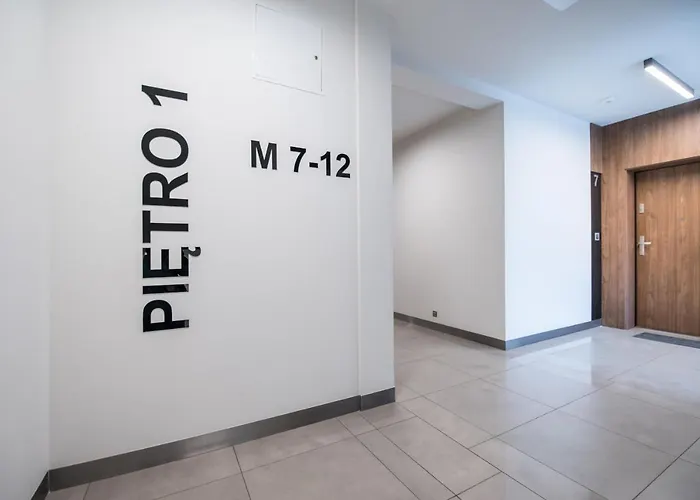 Biegusa גליביצ'ה